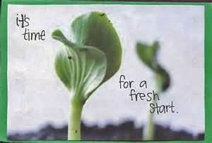 fresh start